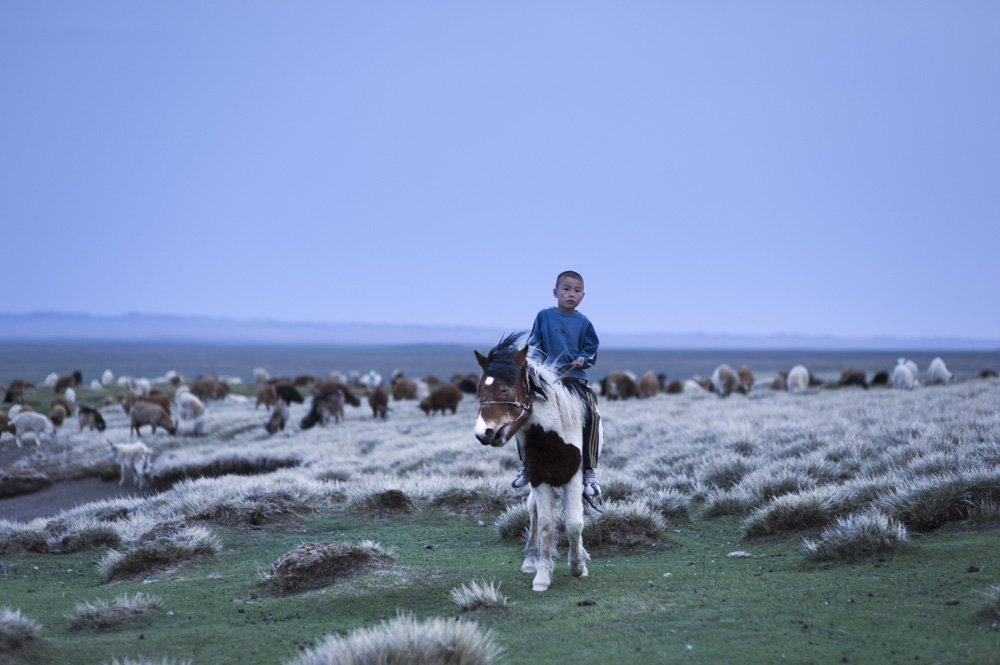 Nomads Nomadic Children Mongolia - copyright 2013 Sven Zellner/Agentur Focus